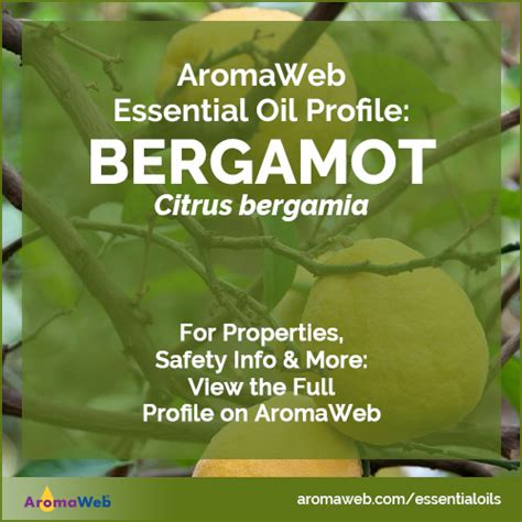 bergamot oil botanical name