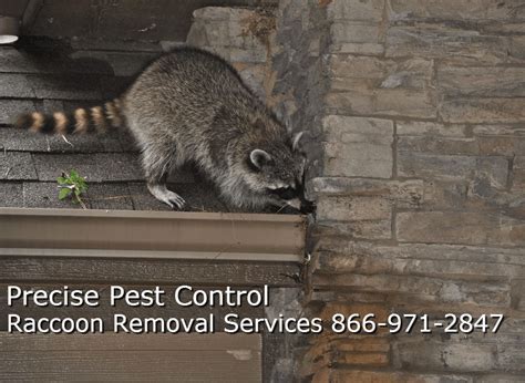 bergen county pest control