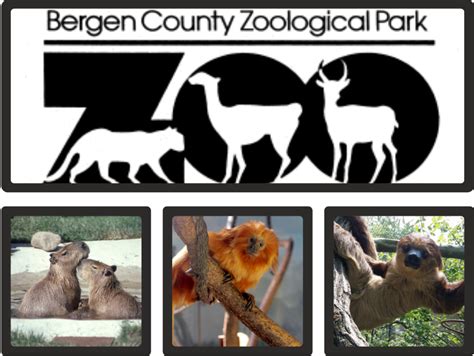 bergen county zoo membership