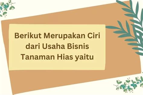 Berikut Merupakan Ciri Dari Usaha Bisnis Tanaman Hias Yaitu