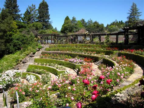 Discover Berkeley Rose Garden Berkeley: Hidden Gem