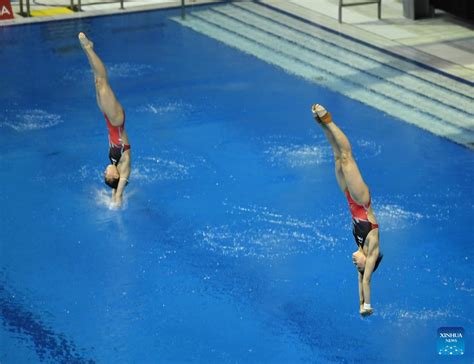 berlin diving world cup 2023