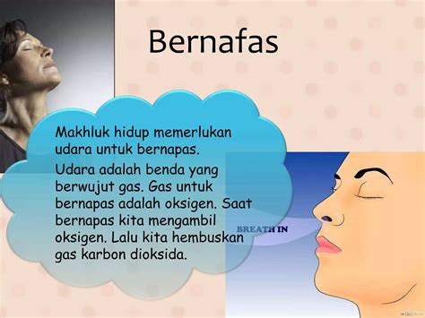 Bernafas