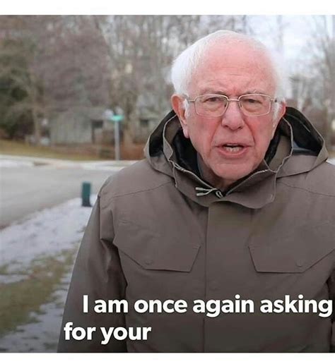 bernie sanders amazing memes