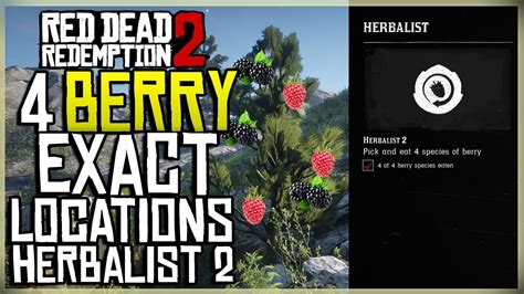 Berries In Rd2