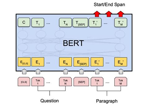 bert algorithm for sentiment analysis