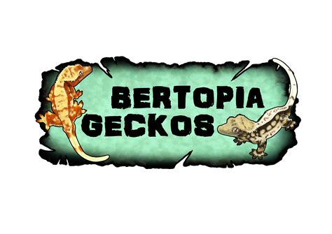 MELONistic Bertopia Geckos