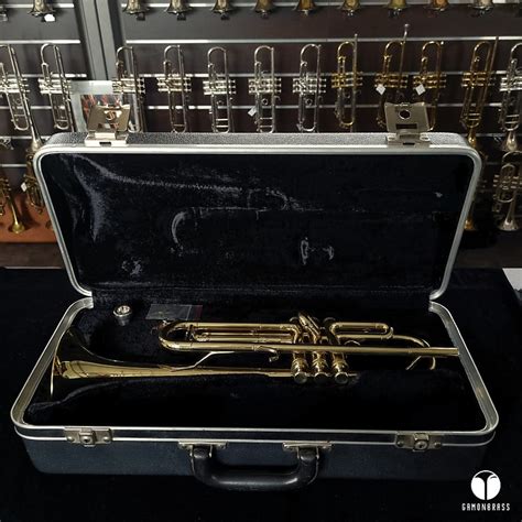 Besson Trumpet Case