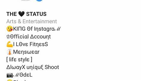 Best Instagram Bio For Guys Which You Can Use Right Now!