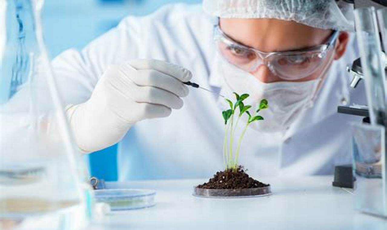 How to Identify and Invest in the Best Biotechnology Companies