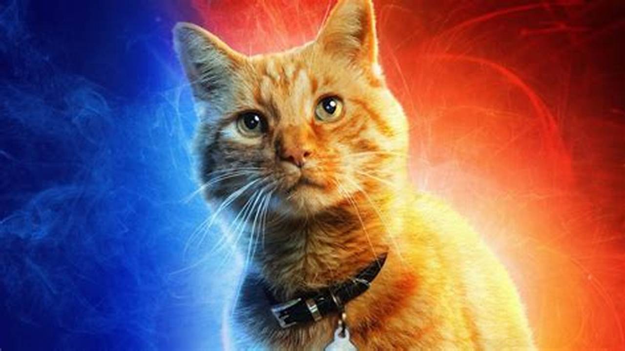 Unveiling the Cinematic Allure of the Best Cats in Movies: A Journey of Discovery and Insight