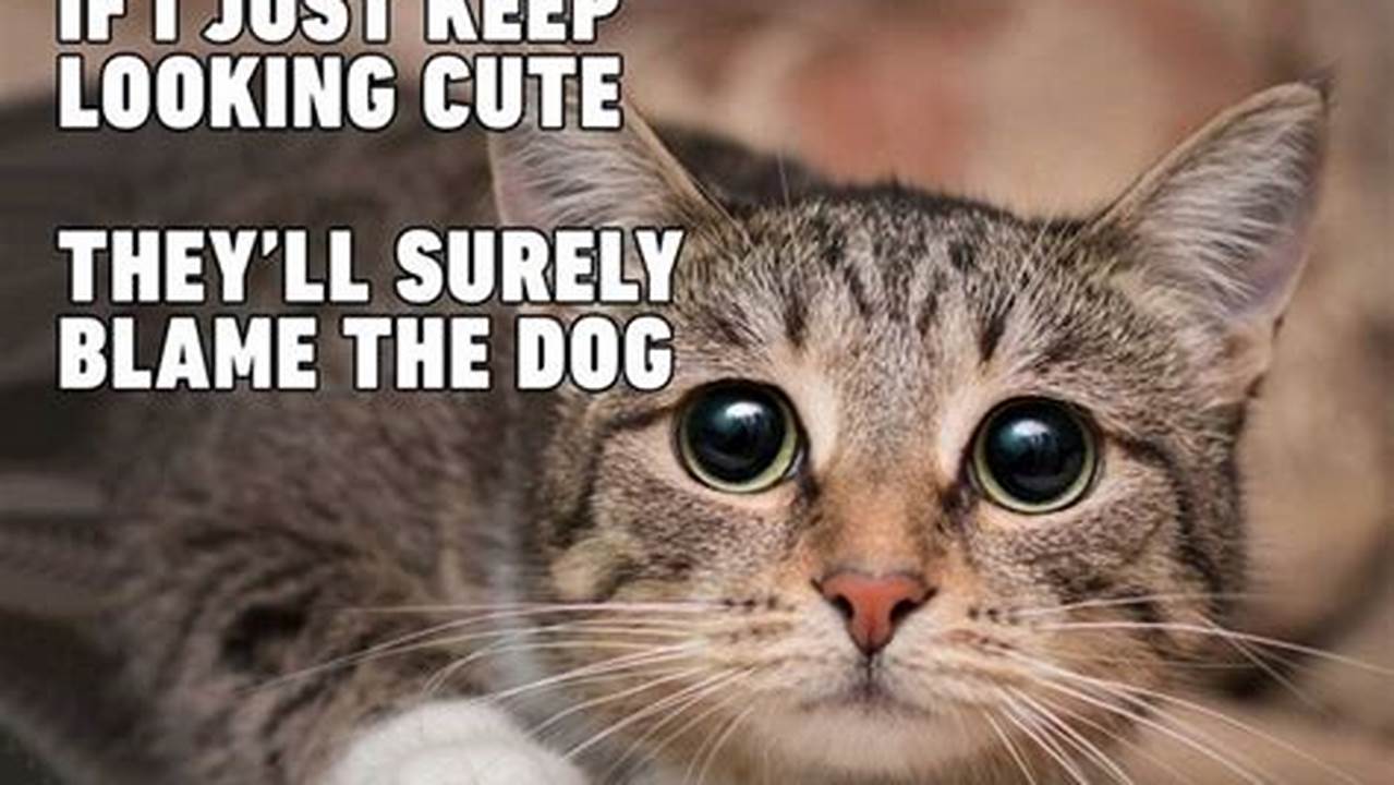 Unleash a Purrfect Storm of Laughter: Uncover the Best Cat Jokes