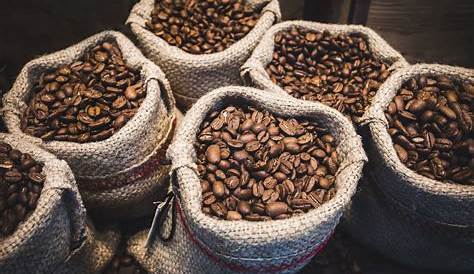 5 Tips for Buying the Best Coffee Beans at Affordable Price