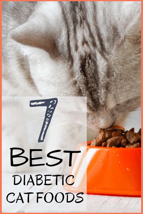 Diabetic Cat Food Reviewed Our Top 5 Picks (2018)