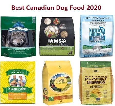 Best Grain Inclusive Dog Food Canada