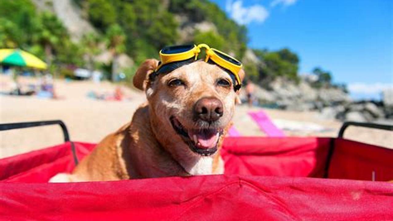 Unleash the Ultimate Dog-Friendly Getaway in NYC: Discover 10 Paw-fect Vacations!
