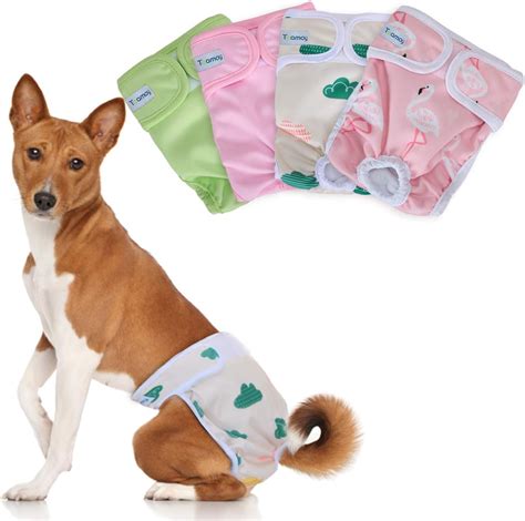 Top 10 Best Female Dog Diapers Reviews 2019 Diaper News