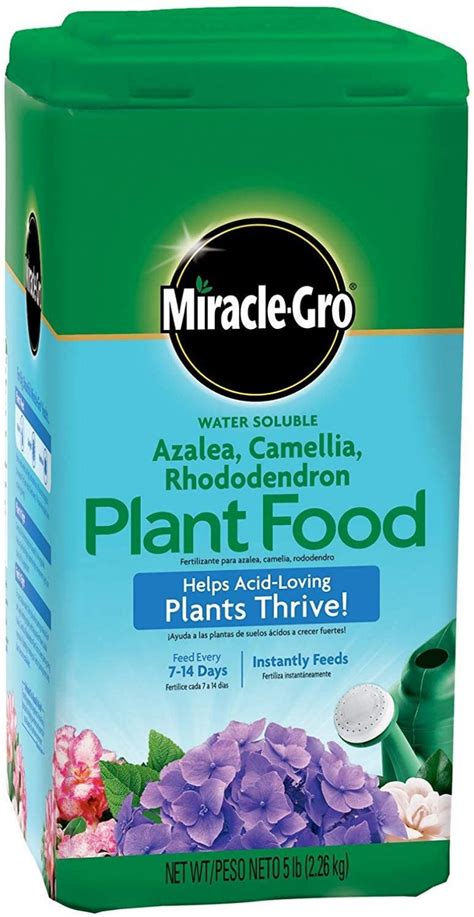 7 Best Azalea Fertilizer 2020 Ultimate Guide