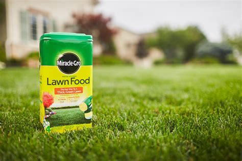 Top 10 Best Fertilizer For Lawns in Summer of 2022 Review Our Great