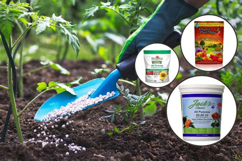 Top 5 Best Vegetable Fertilizer Reviews 20172018