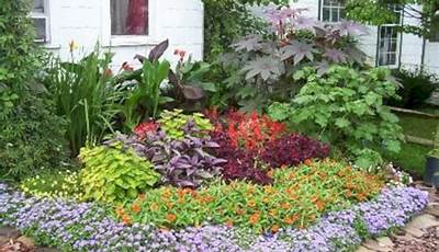Best Flower Bed Plants For Shade