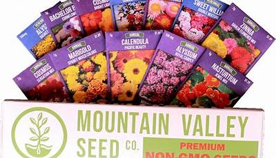 Best Flower Seeds To Buy