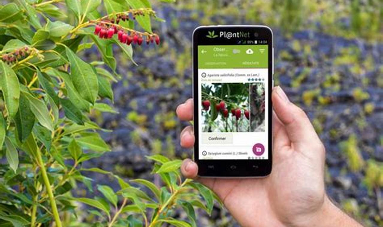 Best Free Plant Care App For Iphone