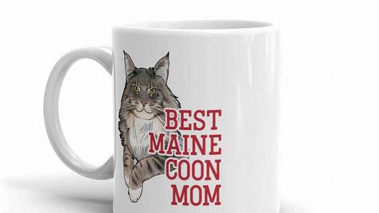 Best Gift for Maine Coon Cat