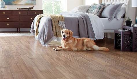 The best floors for your pet and your home