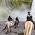 best horse riding iceland