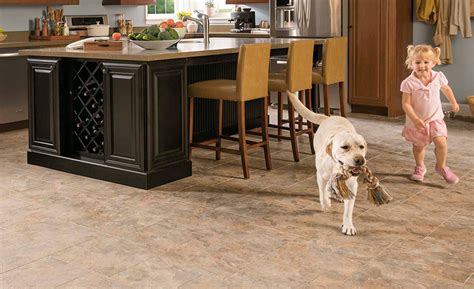+24 Best Kitchen Floor For Dogs Ideas