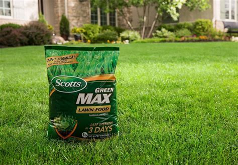 Best Lawn Fertilizer Fall Tech Review