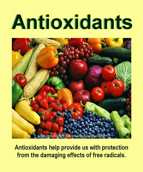 10 Best Sources of Antioxidants from Food
