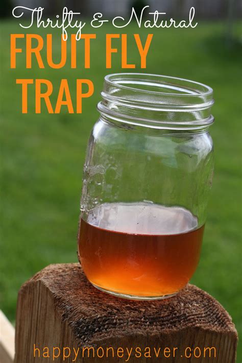 NATURAL CATCH FRUIT FLY TRAP
