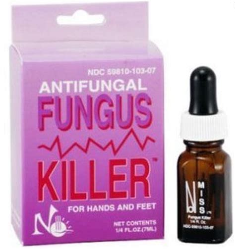 Best Natural Fungus Gnat Killer in Potting Soil How To Get Rid Of Gnat