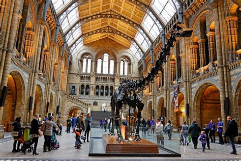 Natural History Museum Launches 3D Virtual Tour Technology detail