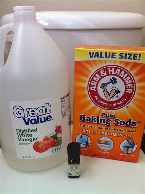 our carlson life diy thursday natural toilet bowl cleaner
