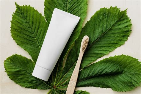The 10 Best Natural and Organic Toothpastes 2019 Fluoride Free
