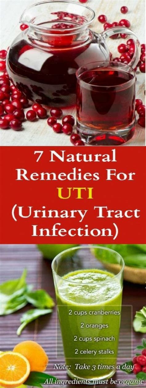 8 Home Remedies for Urinary Tract Infection Selfcarer