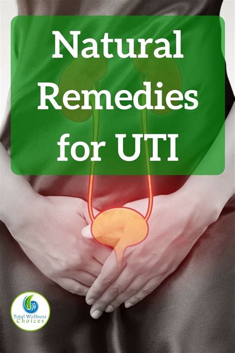 Wow! 10 Natural Remedies for UTI That Give Fast Relief... Uti