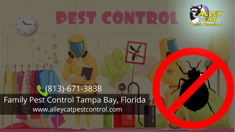 Best Pest Control Tampa Bay, Florida