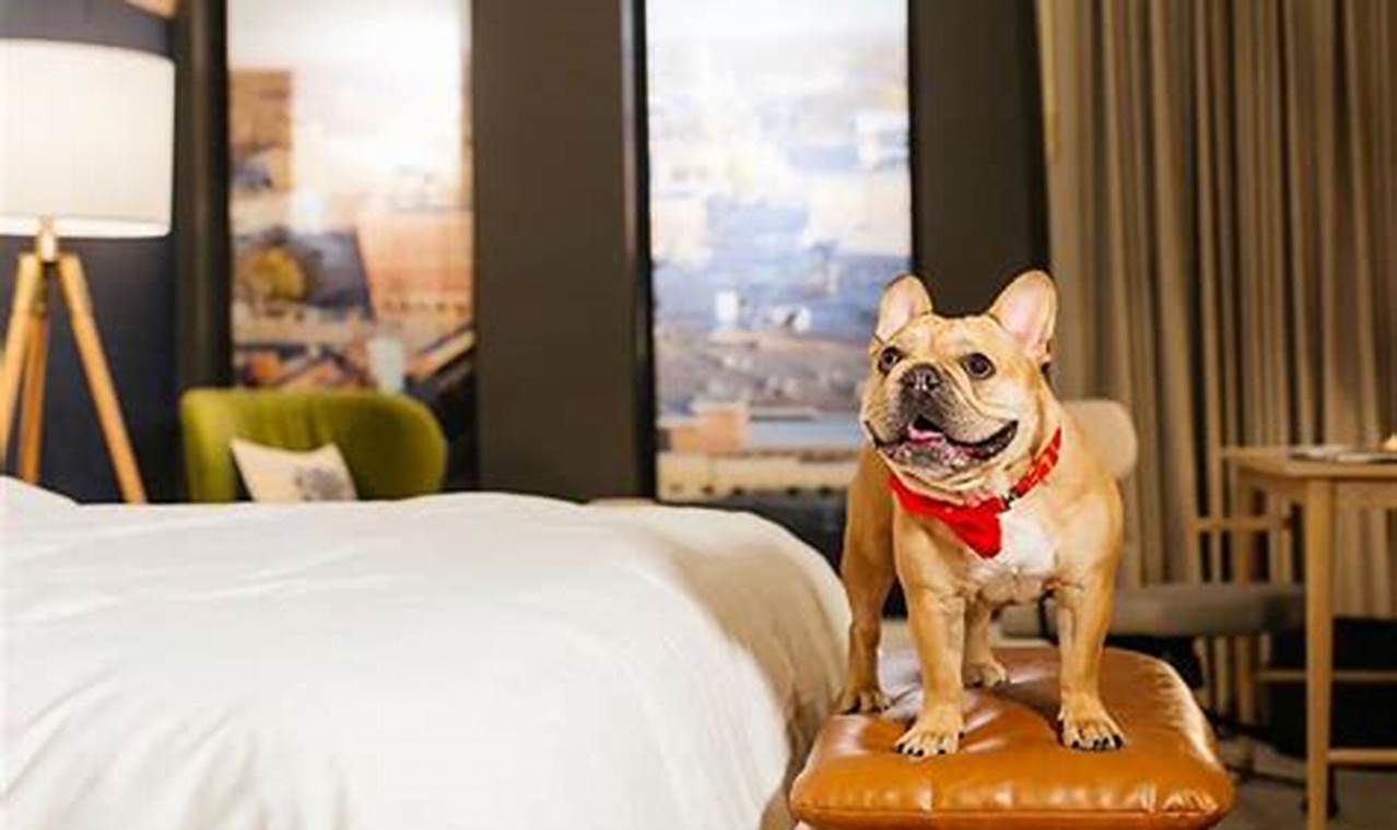 Discover the Top 5 Pet-Friendly Hotels in NYC: A Haven for You and Your Furry Companion