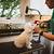 best pet grooming services
