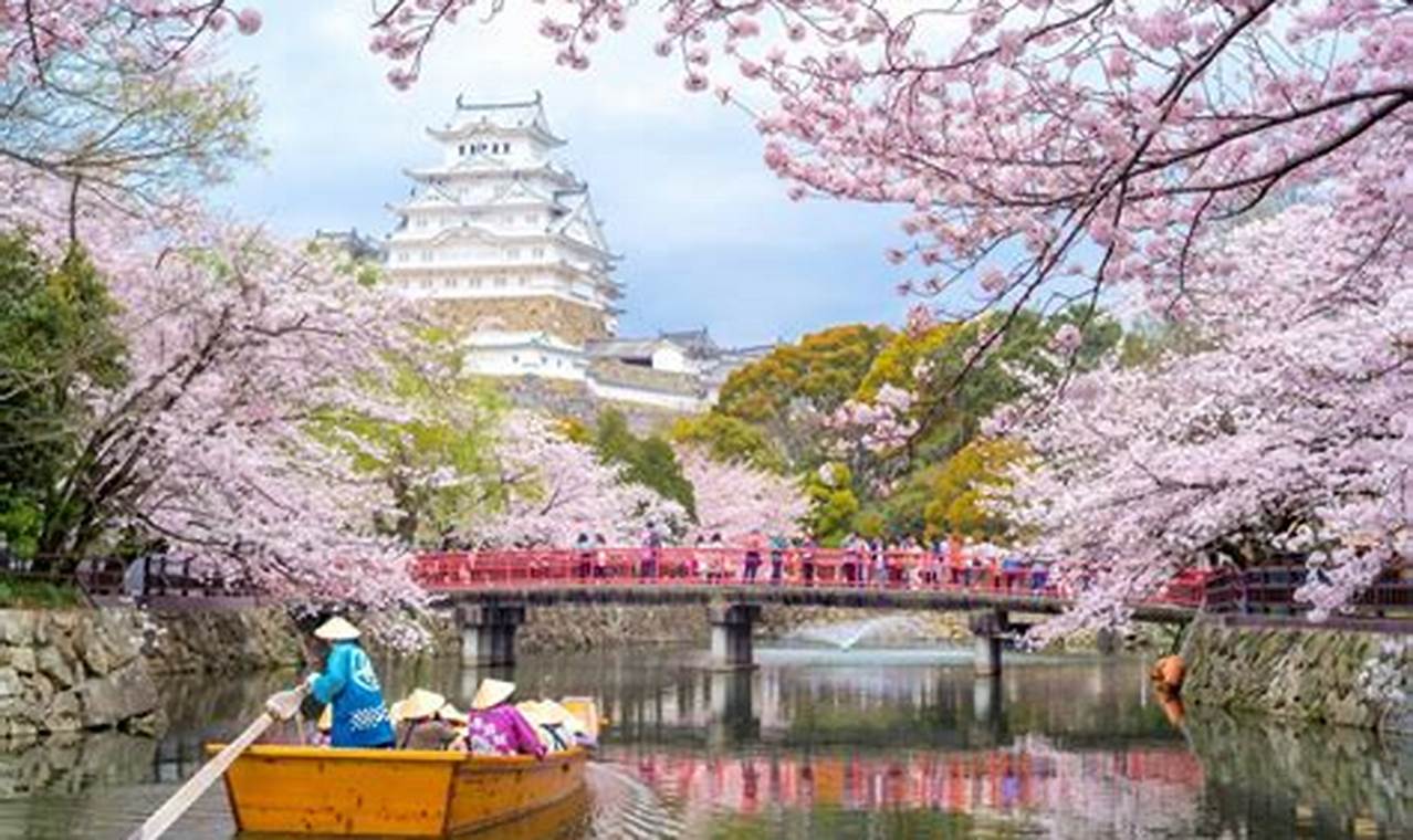 Unveil Japan's Cherry Blossom Magic: A Guide to the Best Places to Visit in March
