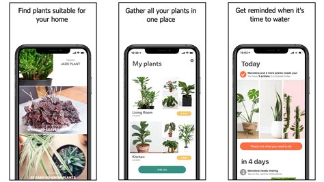 The 4 Best Plant Care Apps Review Geek