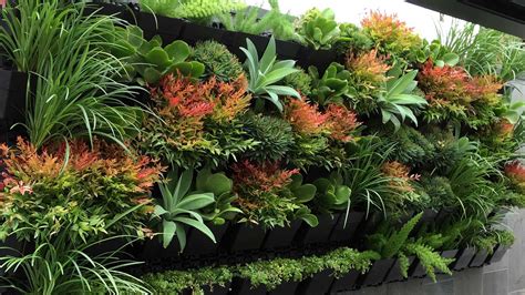 orafelt vertical planters hold a combination of maidenhair ferns