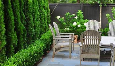 Best Plants For Outdoor Courtyard
