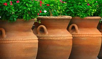 Best Pots For Terrace Garden