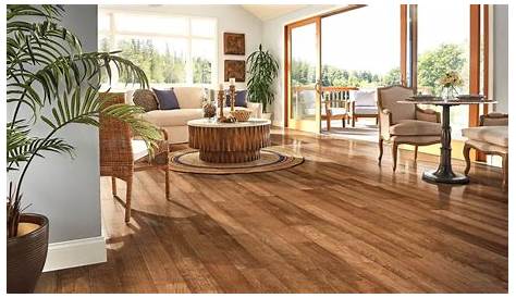How to Choose DogFriendly, Scratch Resistant Engineered Hardwood