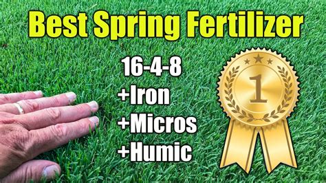 Spring Lawn Fertilizer 7 of Our Best Picks The Family Handyman